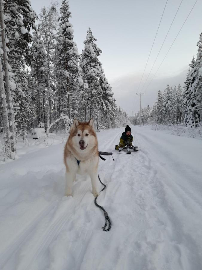 Villa Waeltti Rovaniemi Kültér fotó