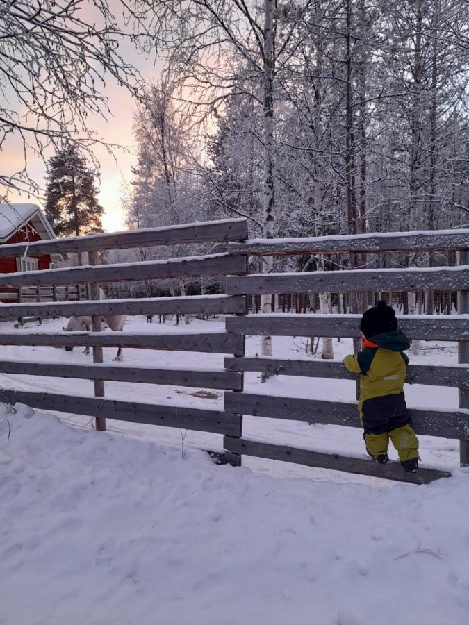 Villa Waeltti Rovaniemi Kültér fotó
