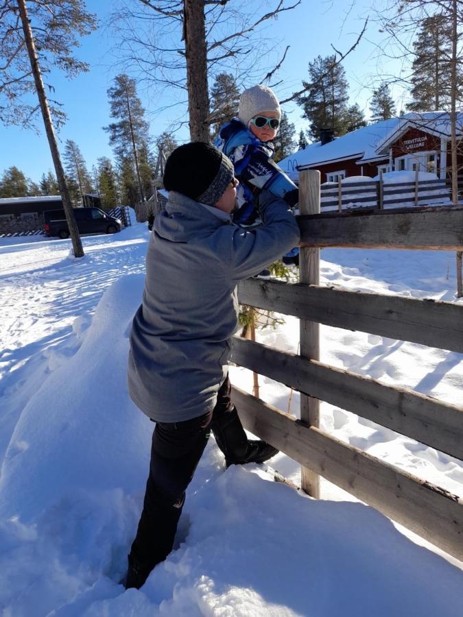 Villa Waeltti Rovaniemi Kültér fotó