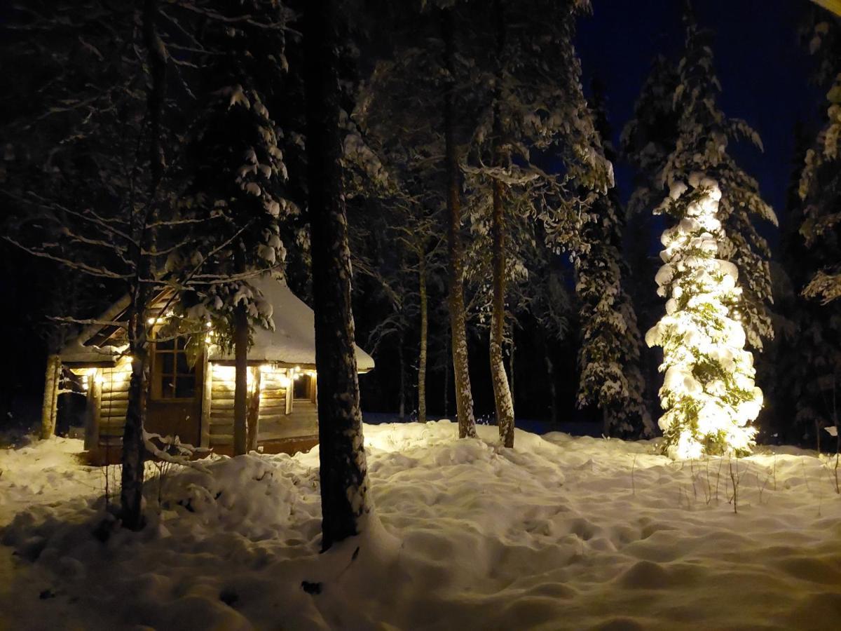 Villa Waeltti Rovaniemi Kültér fotó