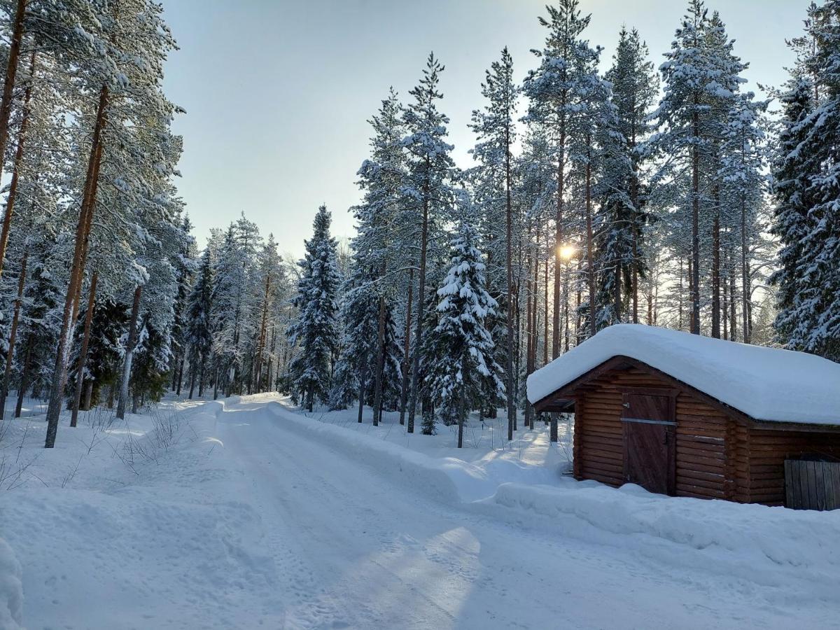 Villa Waeltti Rovaniemi Kültér fotó